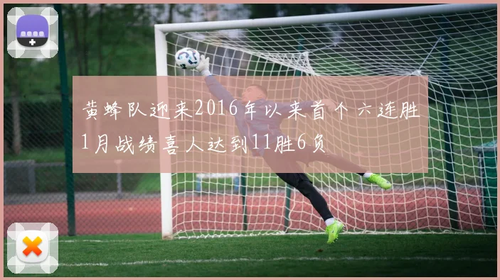 黄蜂队迎来2016年以来首个六连胜1月战绩喜人达到11胜6负